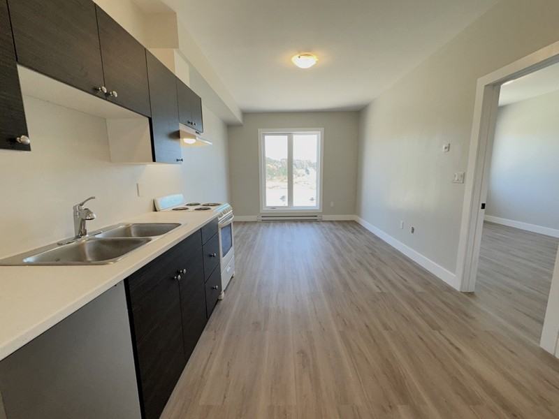 61 Thompsons Rd W - Photo 7 of 14