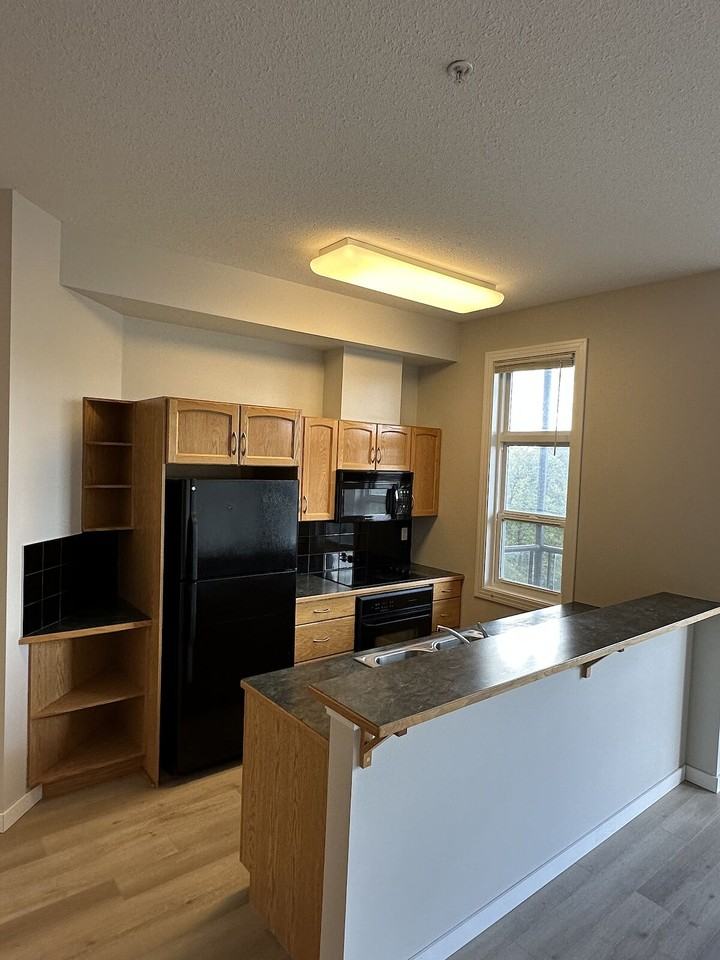 8619 111 Street Northwest 405, Edmonton, Alberta, Canada, T6G 2W1 - Photo 2 of 11