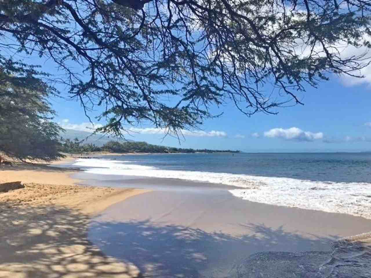 80 Halili Ln #8H - Photo 2 of 29