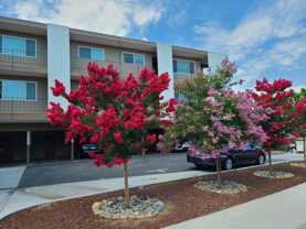 Malone - Photo 1 of 1