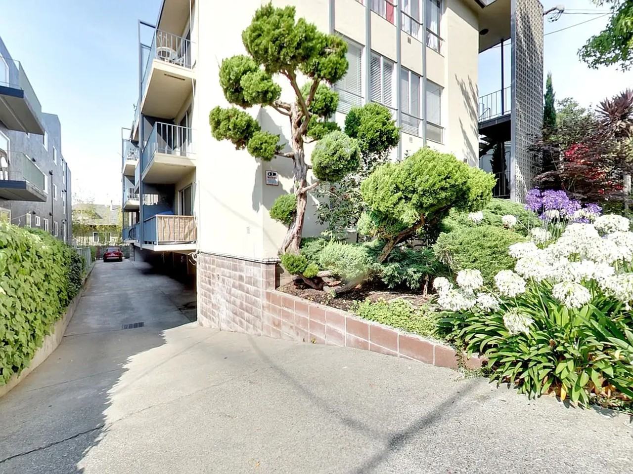 Far Side Cap - Photo 3 of 16