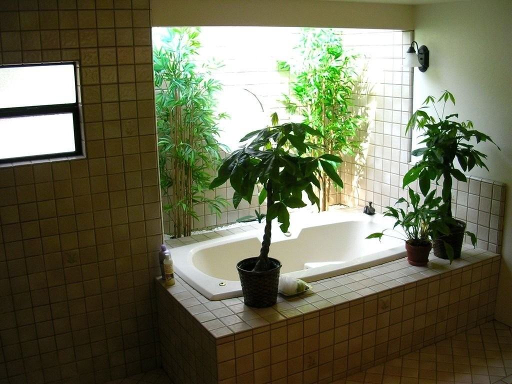 131 E Carmel Valley Rd - Photo 7 of 15