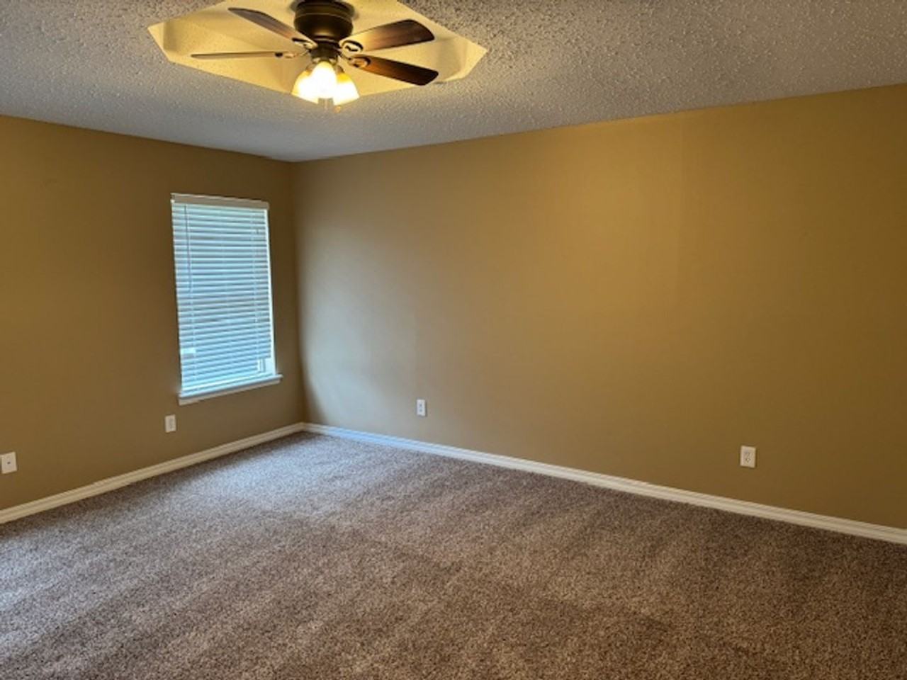 5331 Lauri Ln - Photo 3 of 11