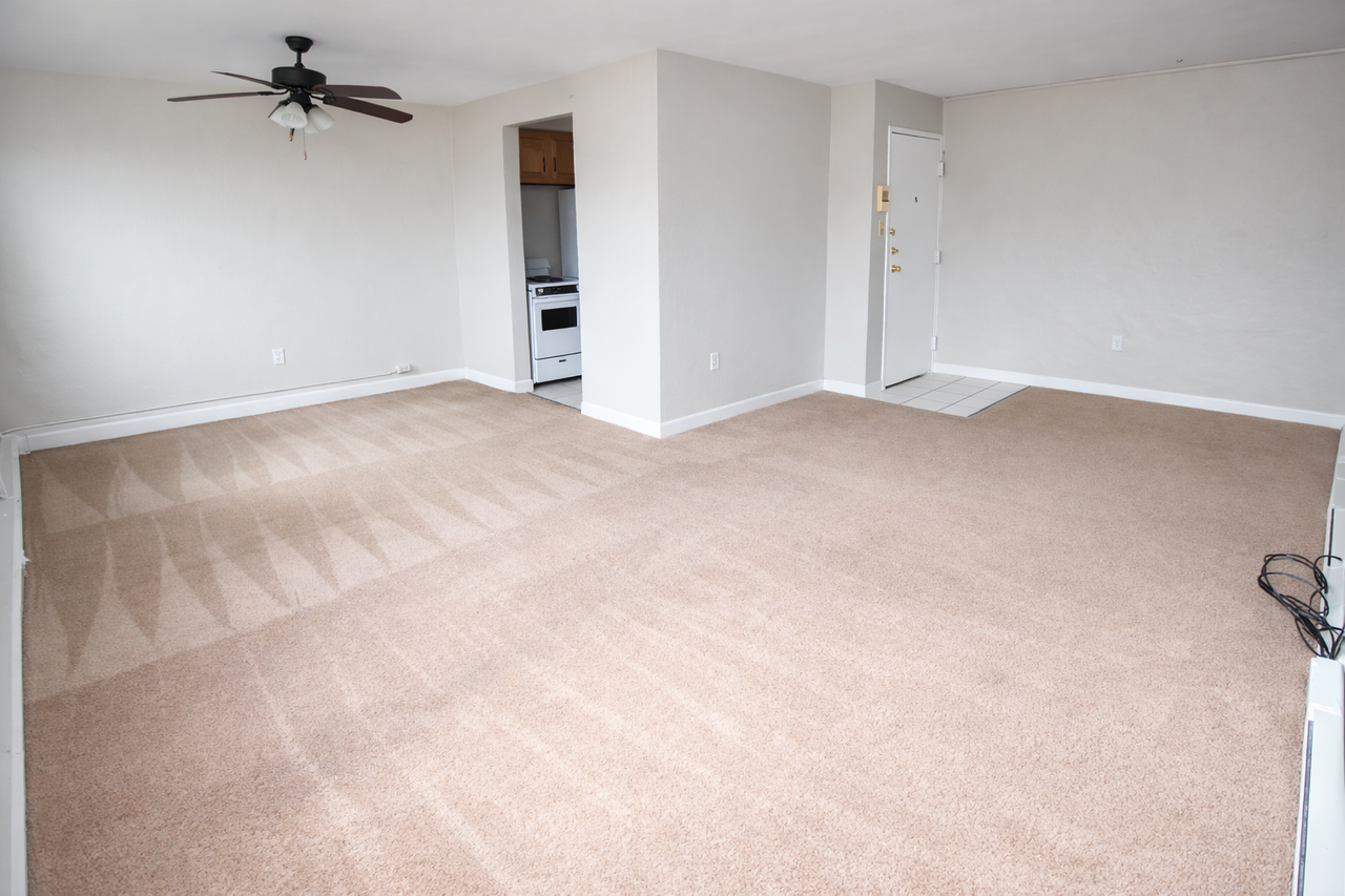 222 Melwood Ave #306 - Photo 7 of 7