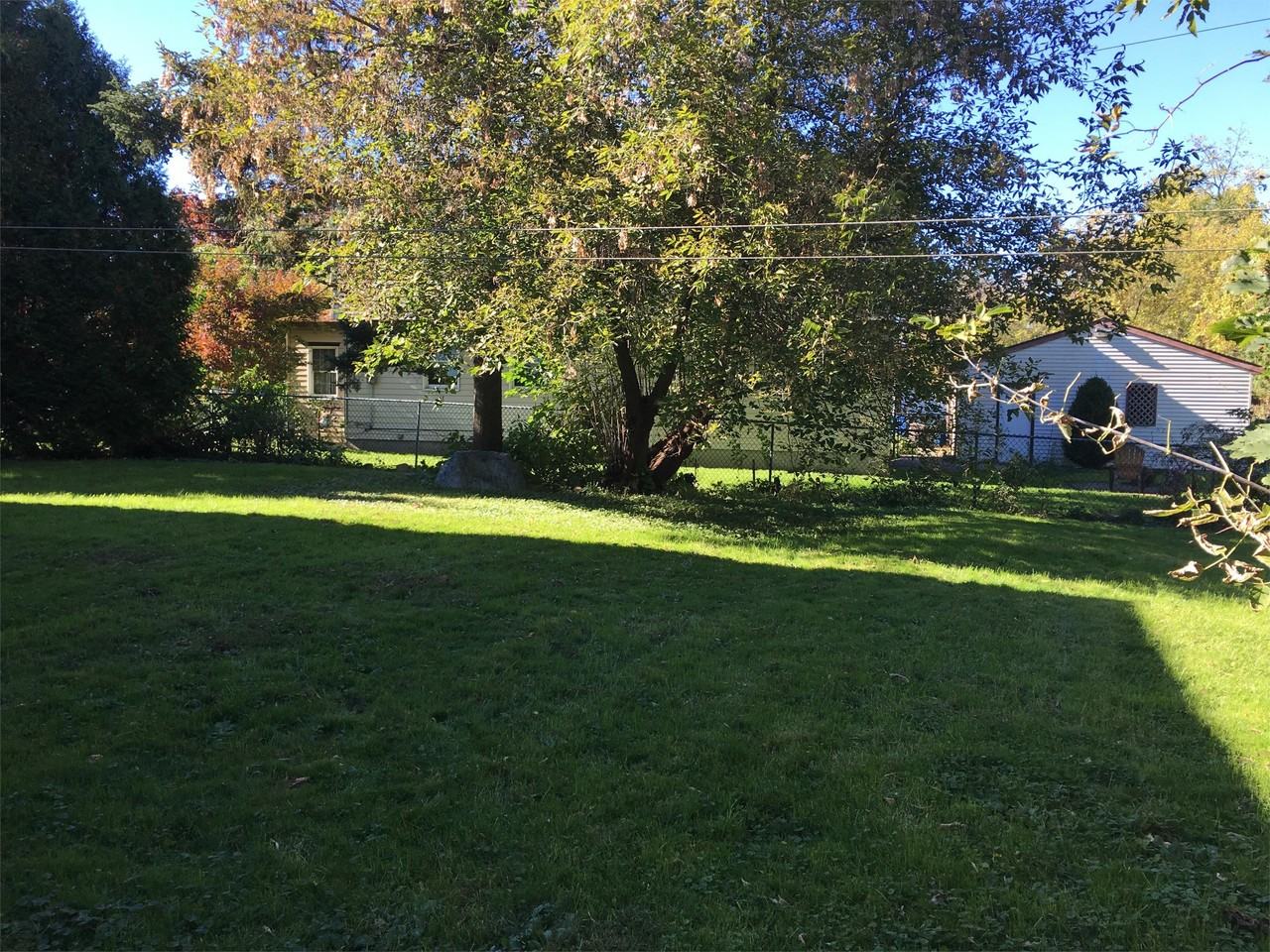 63 Wellington Ave #2 - Photo 5 of 16