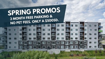 featured image of 14005 28 Ave Sw