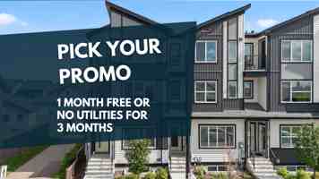 featured image of Price Way/Price Lane/ Price Link