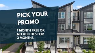 2-3 Bed Townhomes in Paisley - Photo 1 of 1