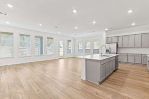 featured image of 18211 Saffron Sun St