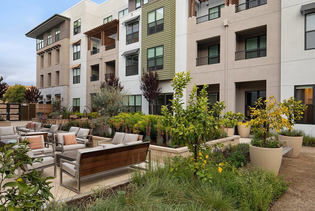 ARLO Mountain View - Photo 6 of 50