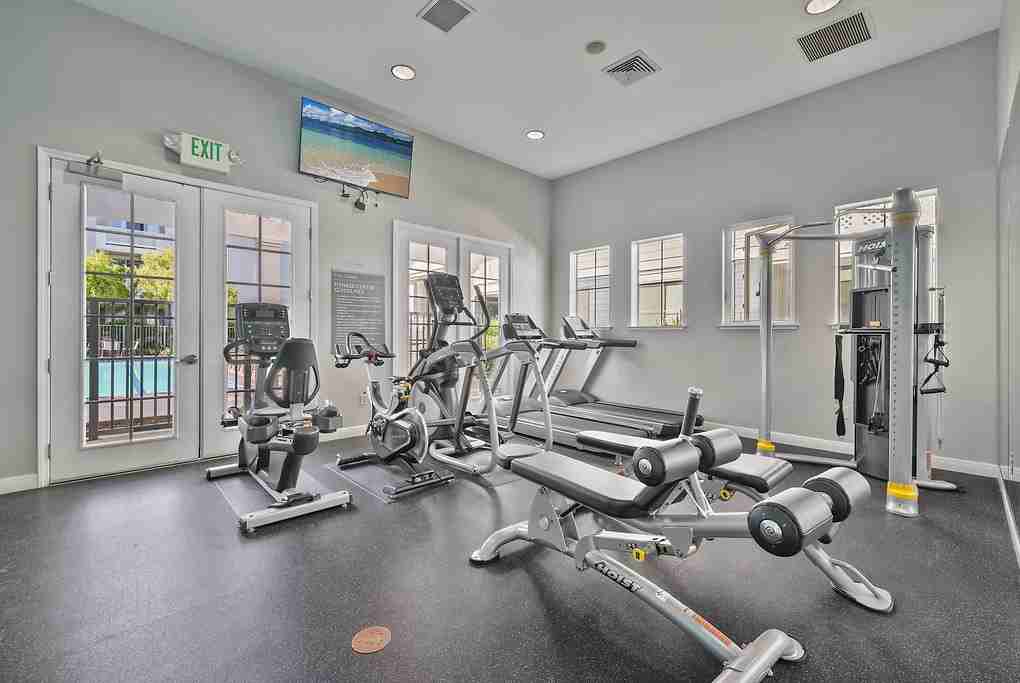 The Carlyle - Photo 4 of 34