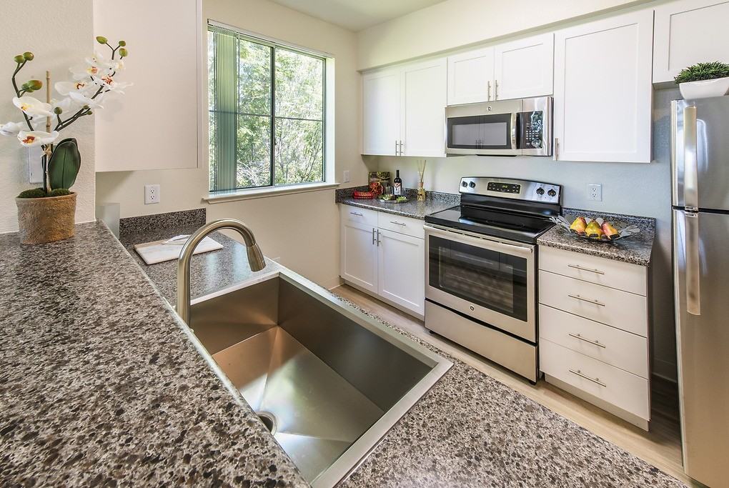 The Carlyle - Photo 6 of 34