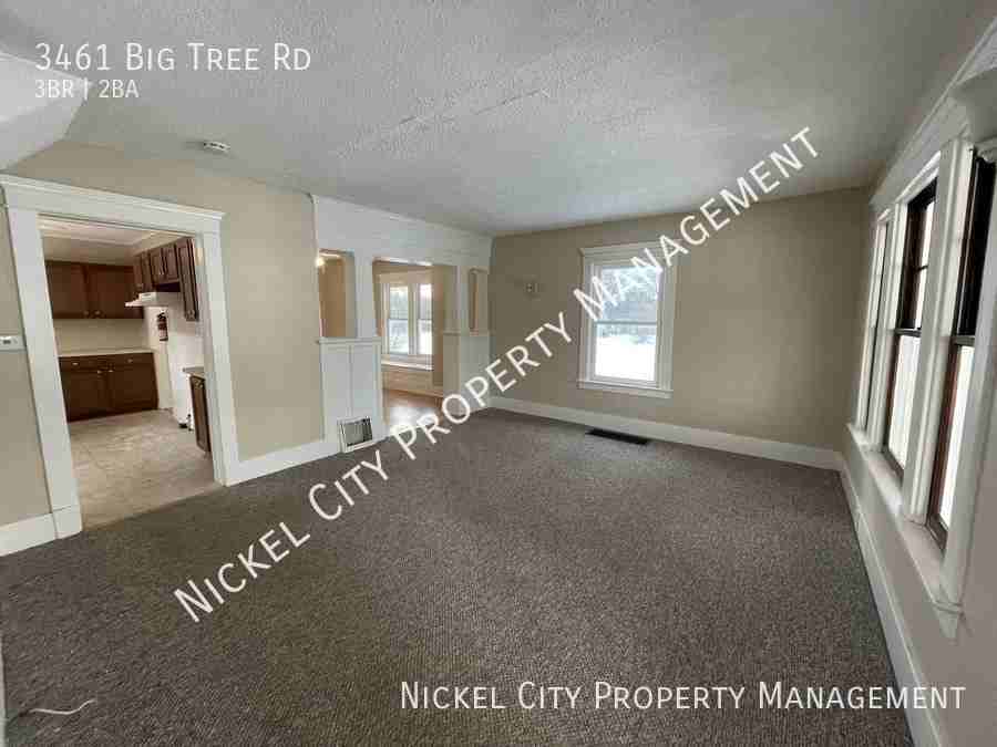 3461 Big Tree Rd - Photo 2 of 19