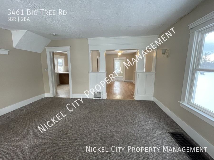 3461 Big Tree Rd - Photo 5 of 19