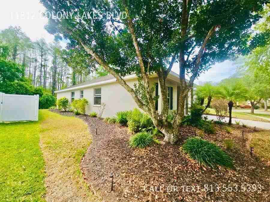 11812 Colony Lakes Blvd - Photo 5 of 50