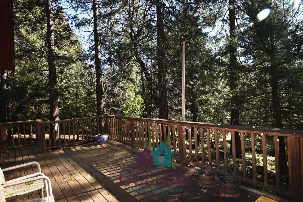 14695 Moon Shadow Dr #1 - Photo 4 of 17