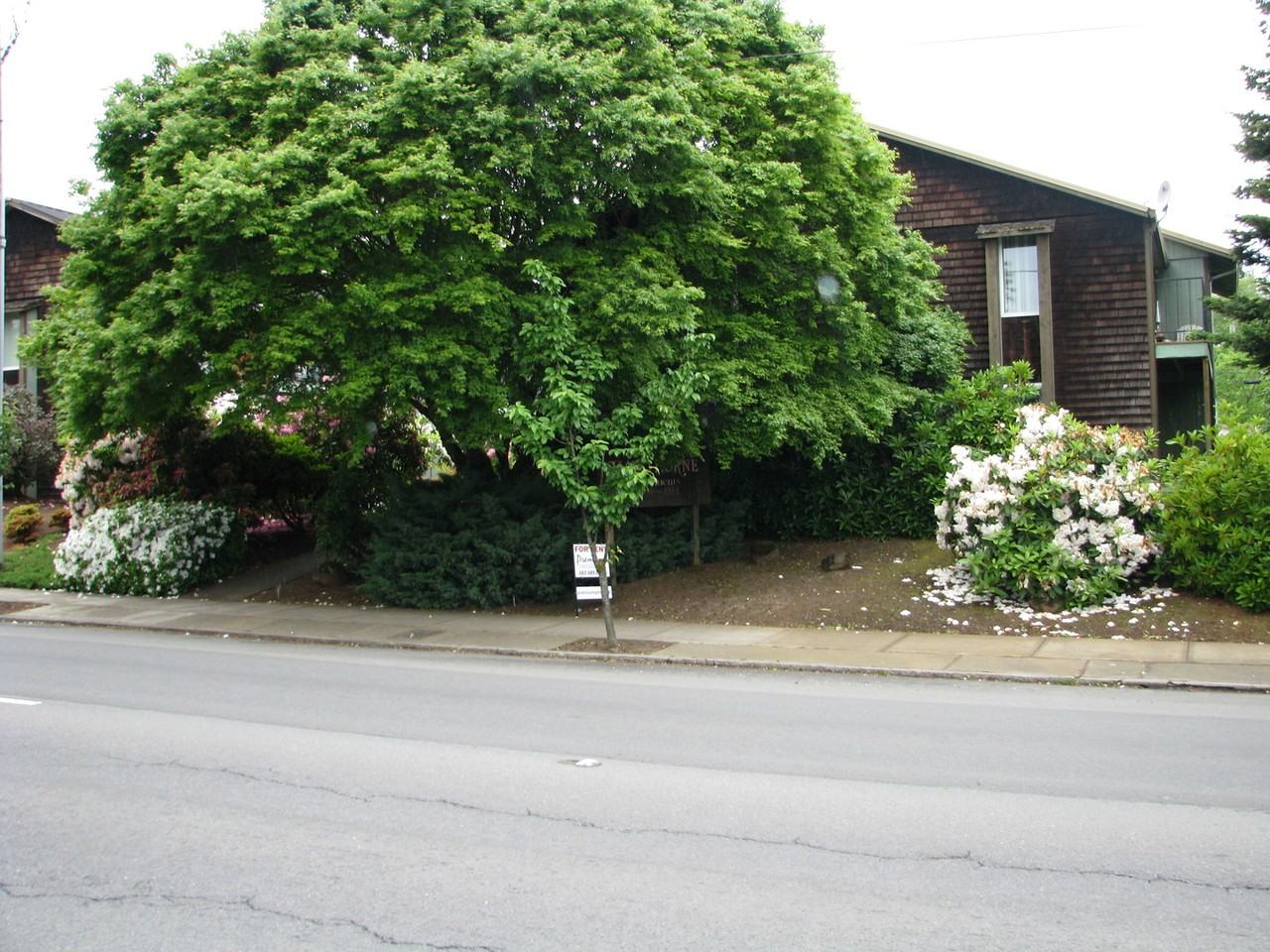 1549 Commercial St Se - Photo 2 of 16