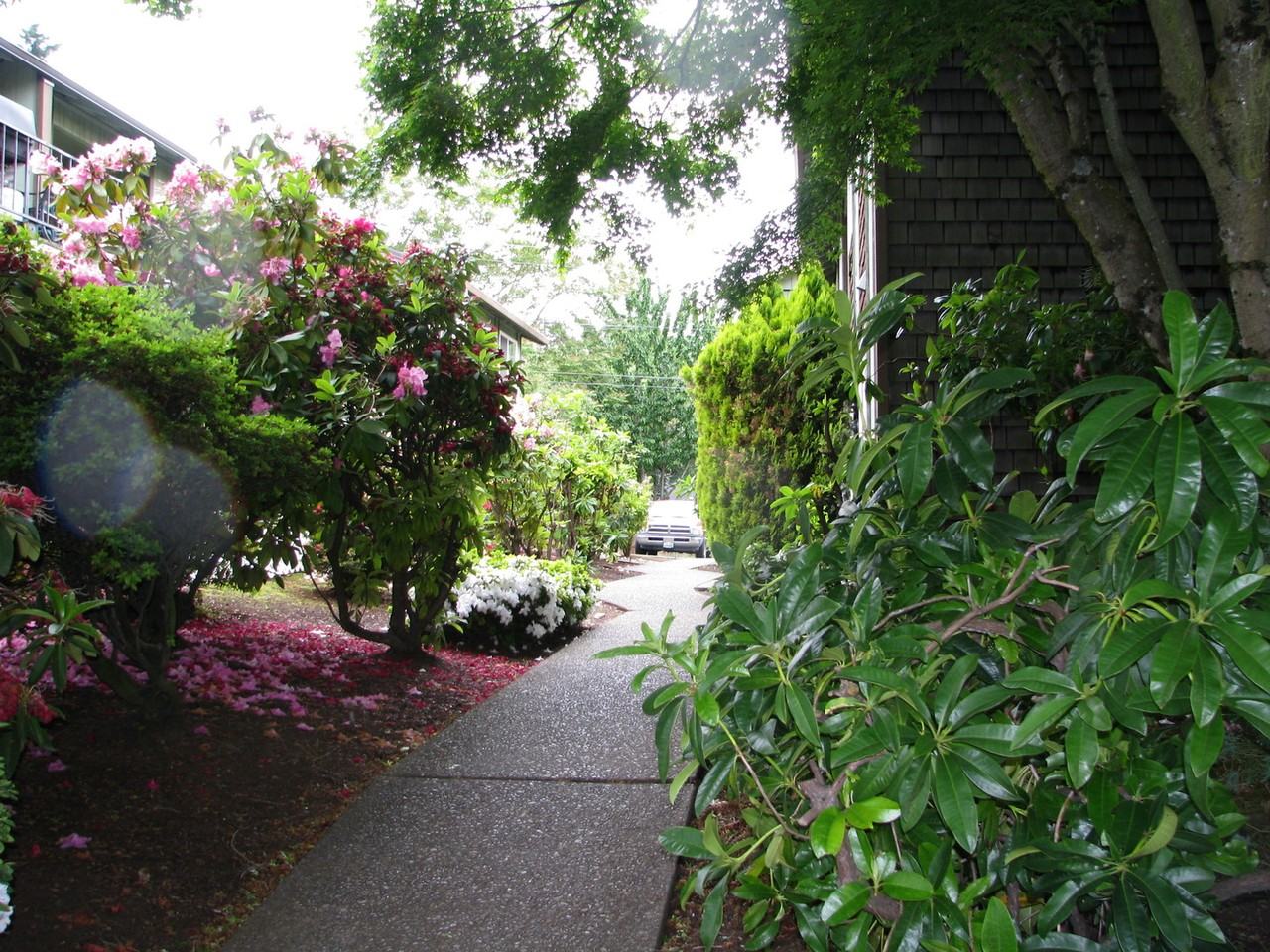 1549 Commercial St Se - Photo 3 of 16