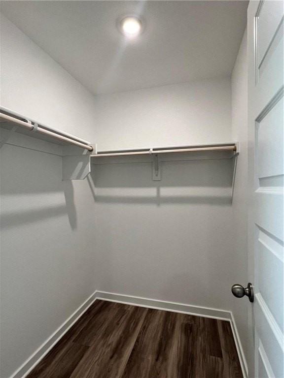 3010 Amarillo Way - Photo 5 of 19