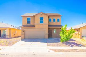 featured image of 14648 Friesian Trl