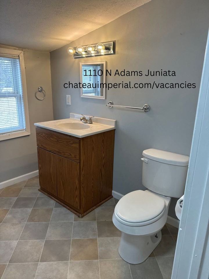 1110 N Adams Ave - Photo 5 of 7