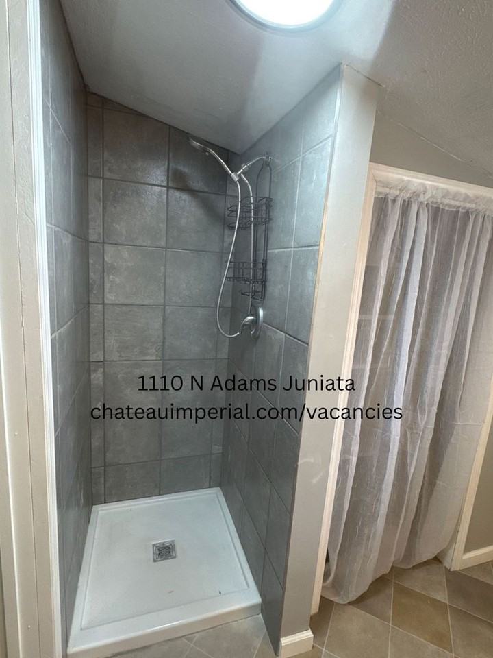 1110 N Adams Ave - Photo 6 of 7