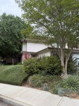 1493 Aarhus Dr #1 - Photo 1 of 1