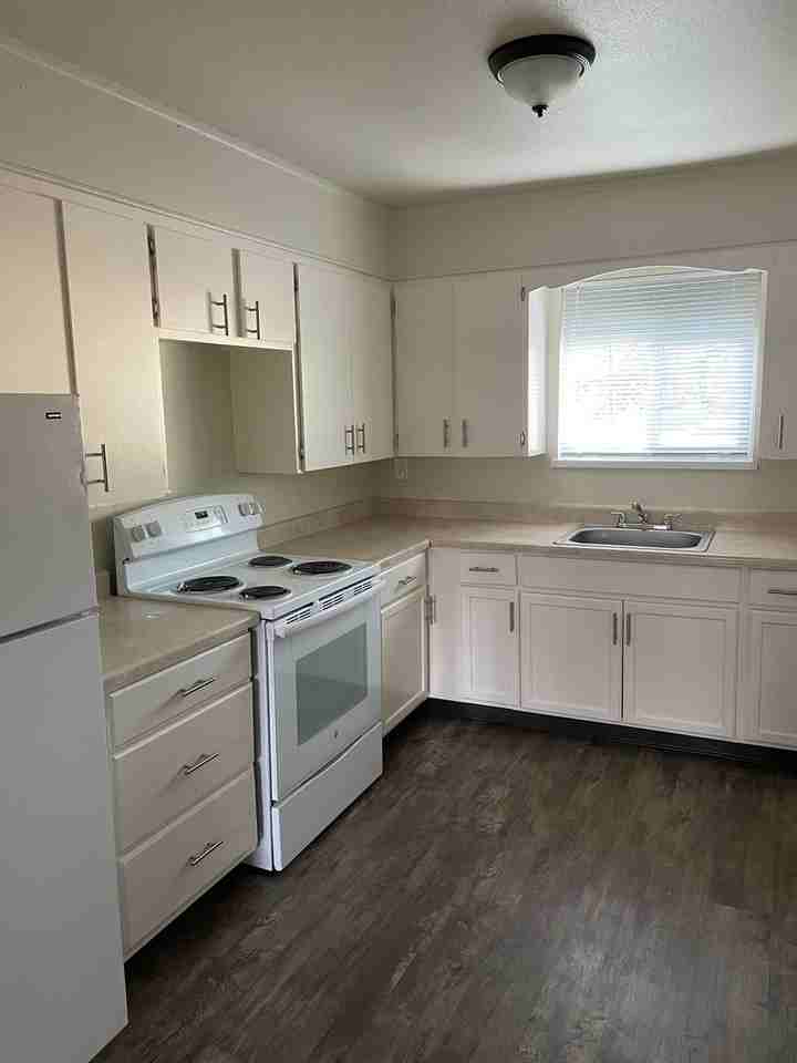 1575 Olive Ave #02 - Photo 5 of 14