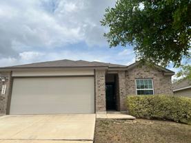 2465 Arctic Warbler - Photo 1 of 1