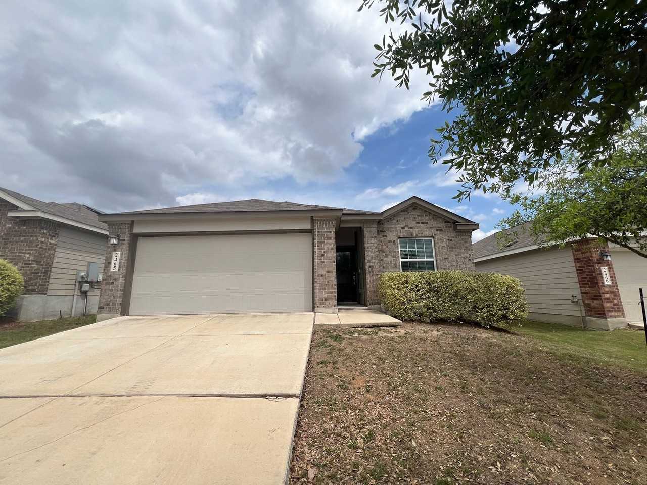 2465 Arctic Warbler - Photo 2 of 24