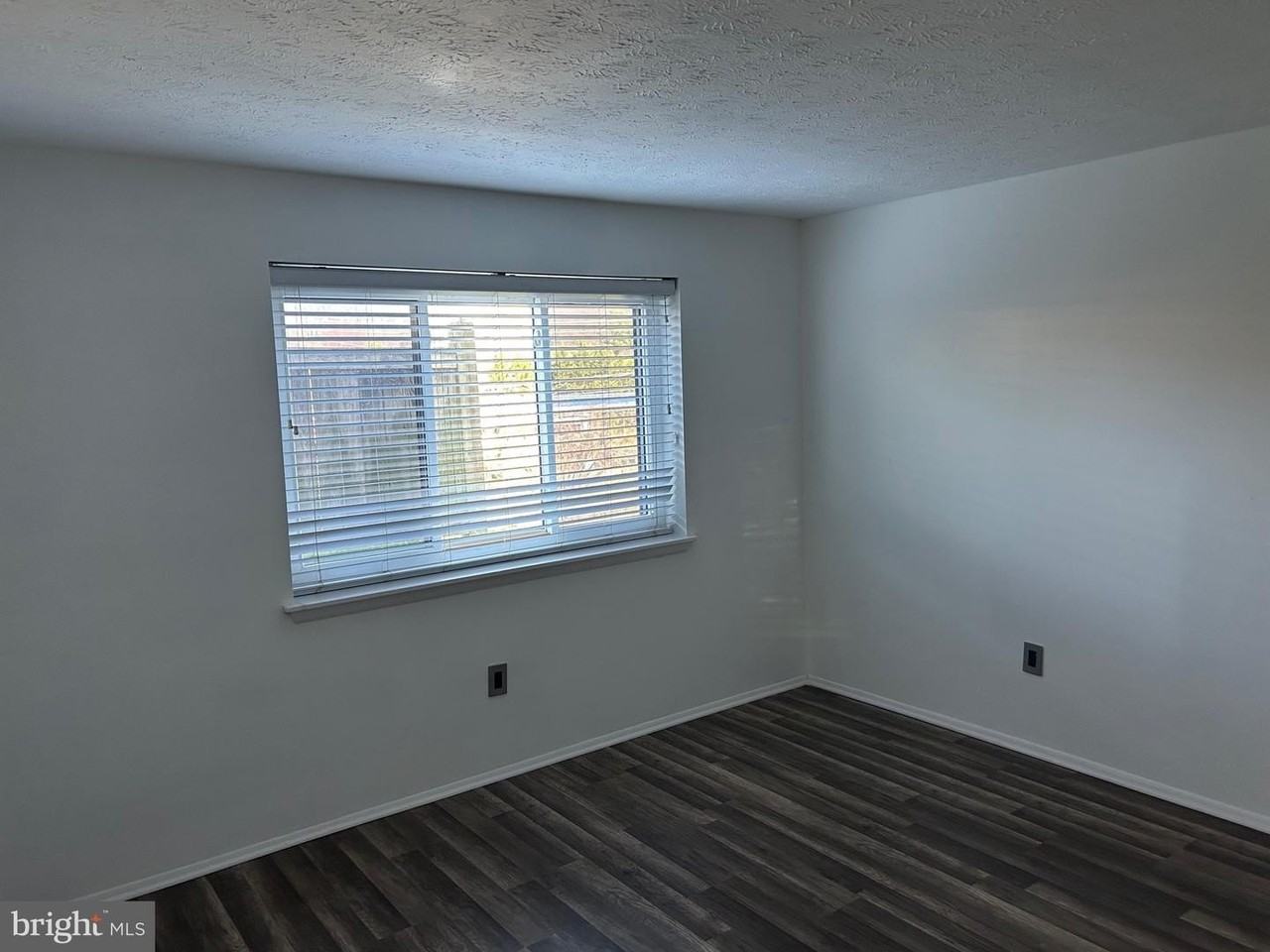 12405 Hickory Tree Way - Photo 2 of 18