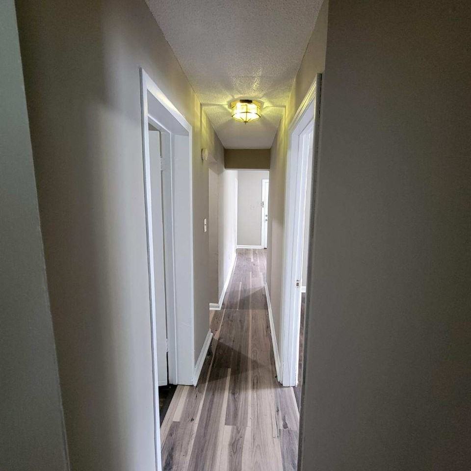 1409 Bradt St #1 - Photo 4 of 18