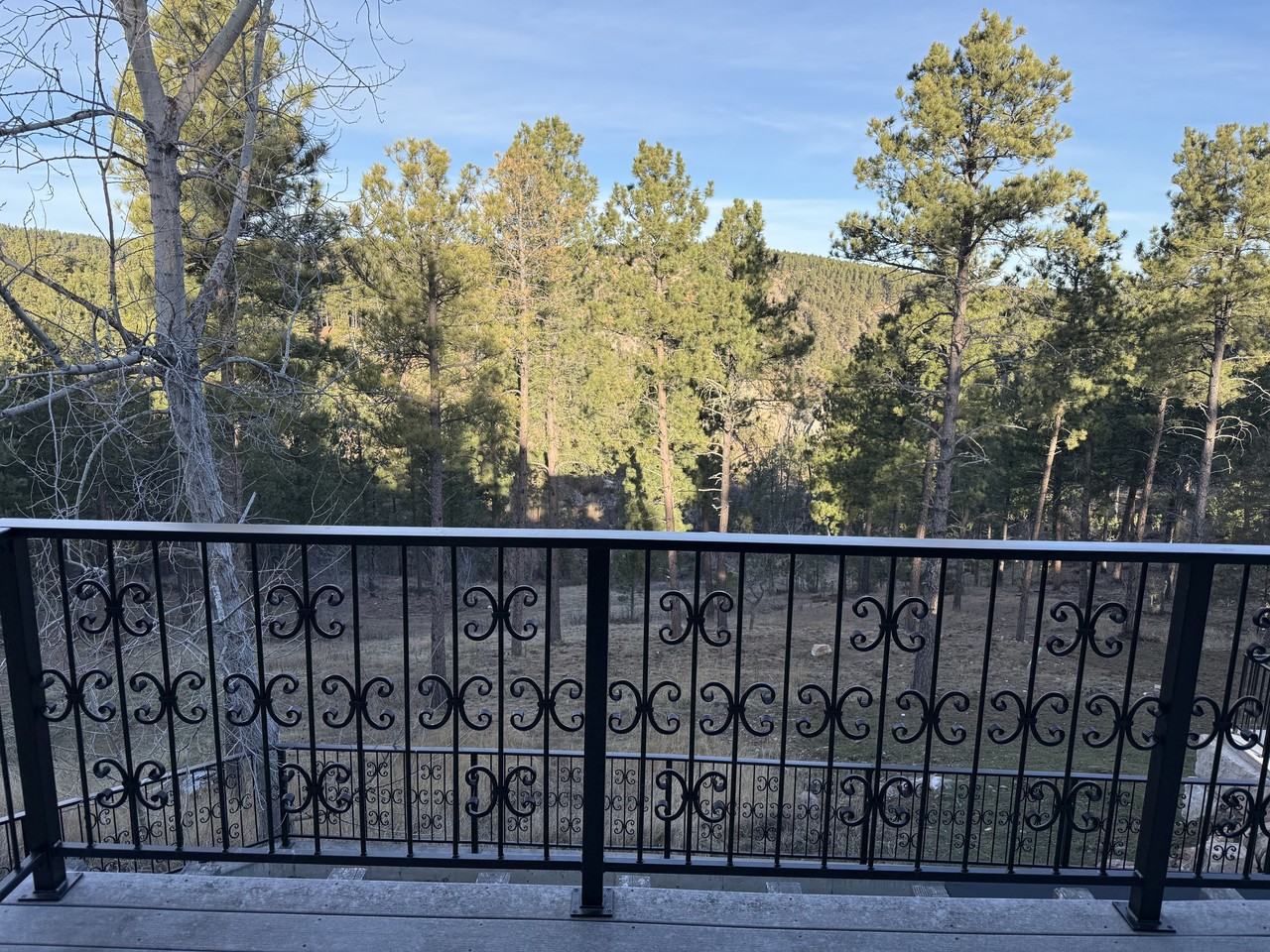 13646 Twisted Pines Trl #1 - Photo 3 of 26