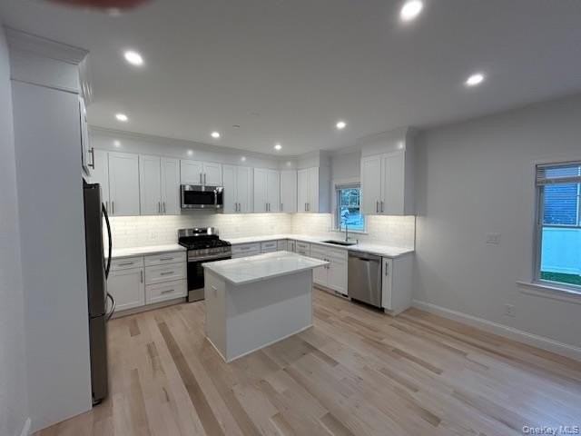 61 Adelphi Ave - Photo 3 of 17