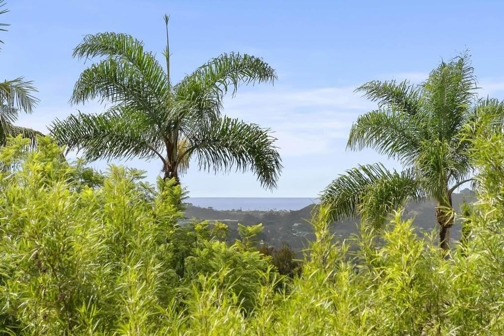 3401 Adams Run - Photo 7 of 18