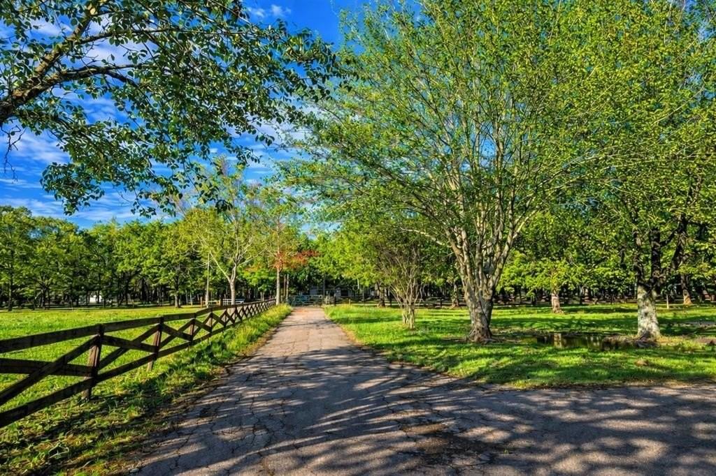 377 County Road 3501 - Photo 2 of 16