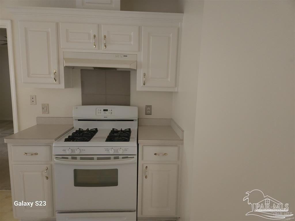 10896 Country Ostrich Dr - Photo 4 of 9