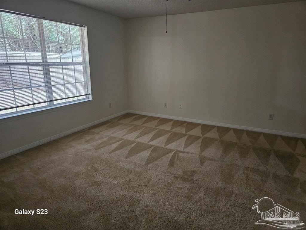 10896 Country Ostrich Dr - Photo 6 of 9