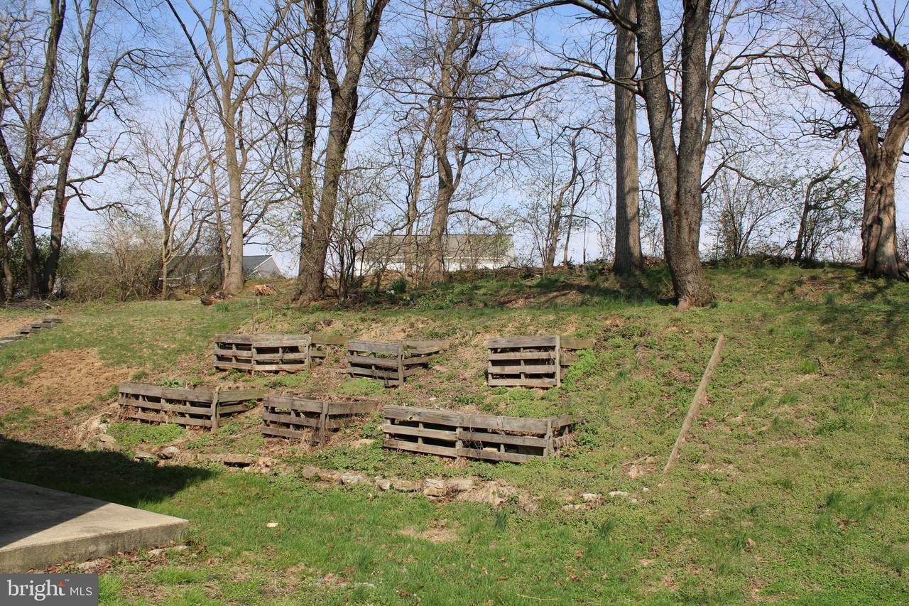 49 Tupelo St - Photo 4 of 21