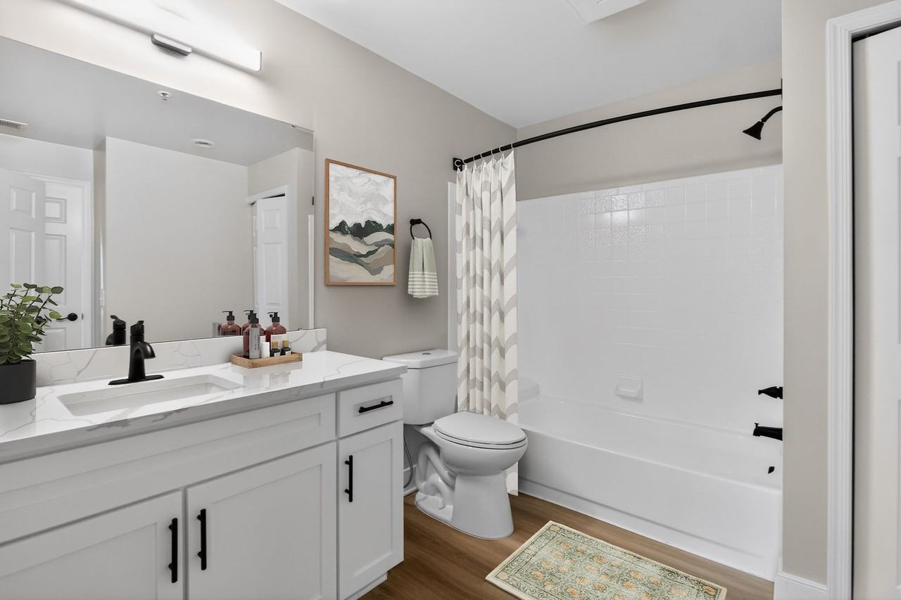 Eagle Rock Apartments at Columbia Pike - Photo 6 of 22