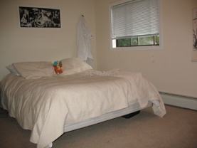 10 Evergreen Ave #3DUPE - Photo 1 of 1