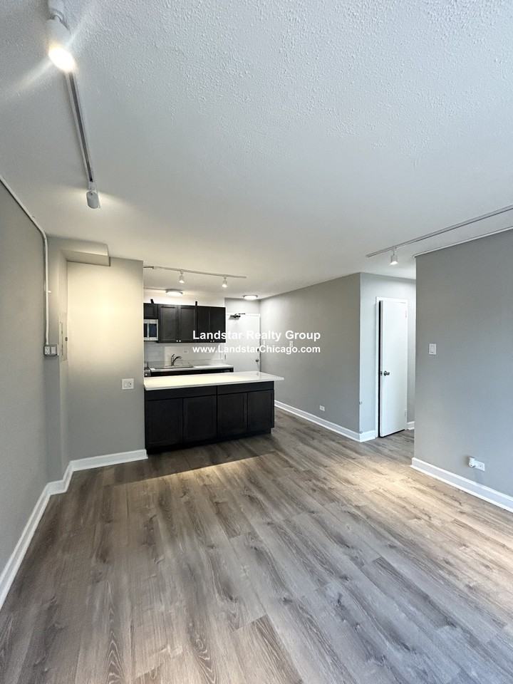 7333 N Ridge Blvd #101 - Photo 2 of 14