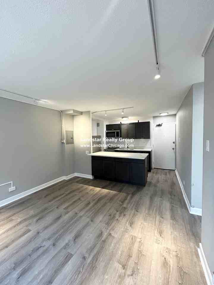 7333 N Ridge Blvd #101 - Photo 3 of 14