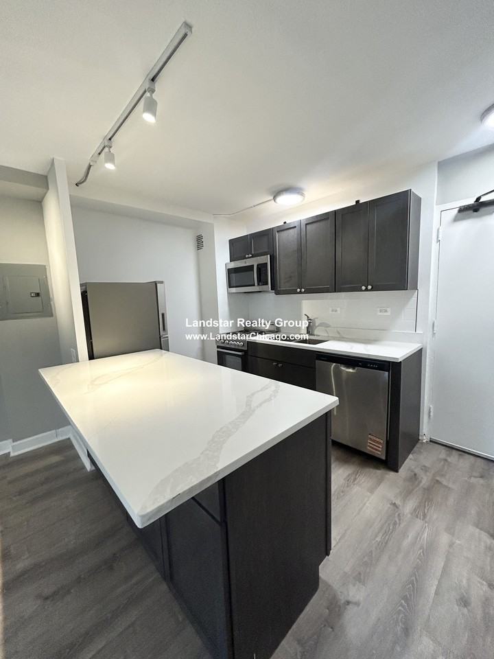 7333 N Ridge Blvd #101 - Photo 4 of 14