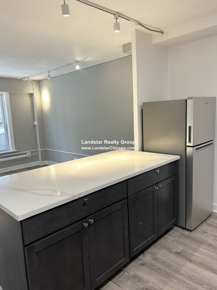 7333 N Ridge Blvd #101 - Photo 6 of 14