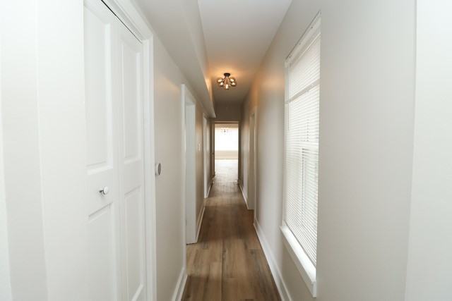 6110 S Saint Lawrence Ave Apt 3 - Photo 5 of 12