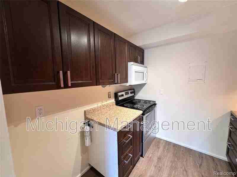 2150 Pauline Blvd #203 - Photo 6 of 32