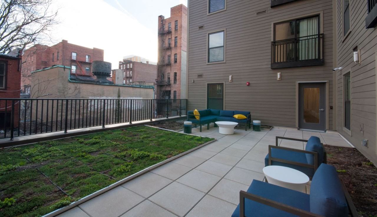 Mulberry at Park - Photo 3 of 18