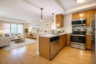 77 Marion St #201 - Photo 1 of 1