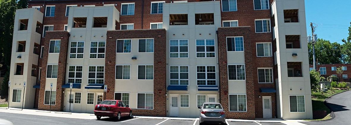 The Larkspur - Photo 3 of 10